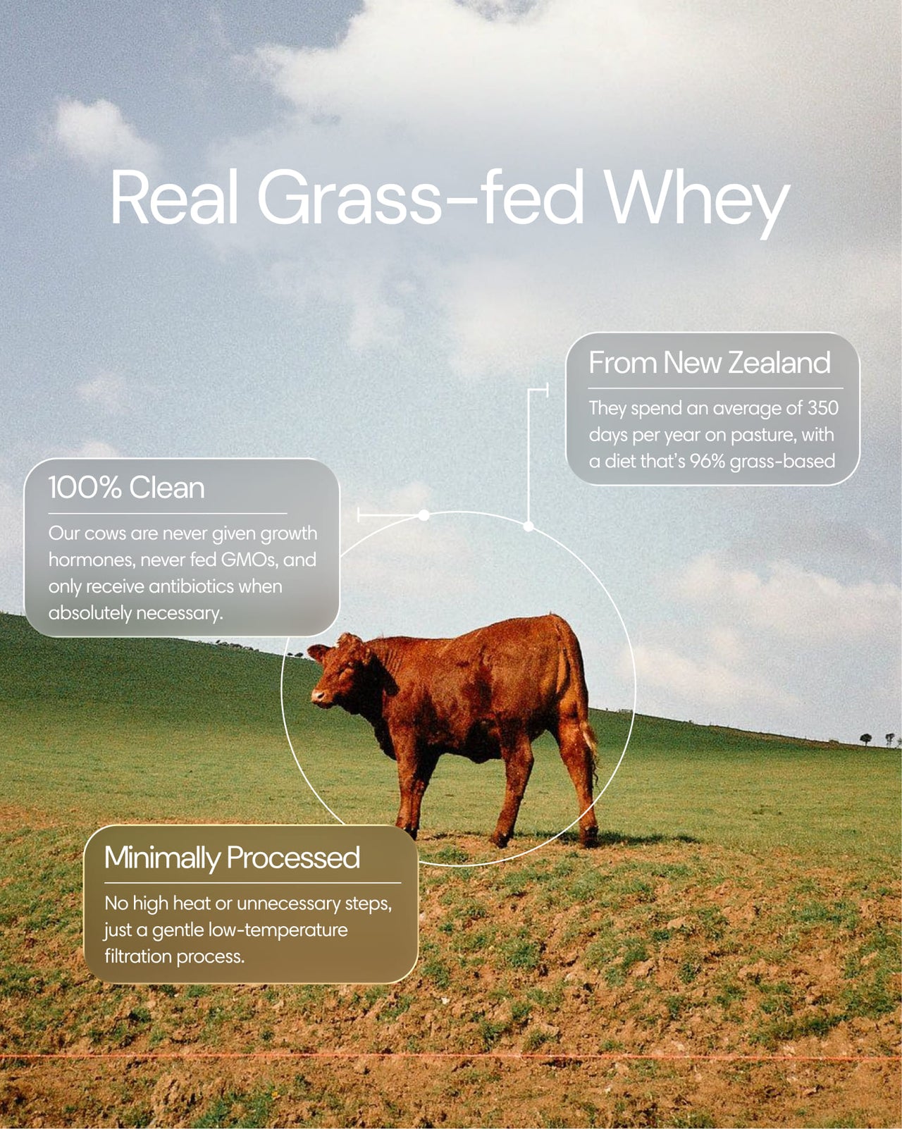  Clearly - Grass-fed Whey